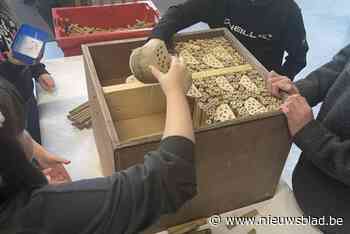 Bijenhotels in Schelle krijgen opfrisbeurt