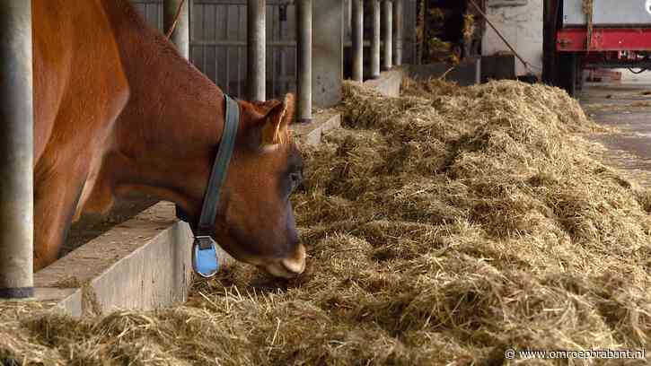 Brabantse PAS-melders verder in de knel, milieuclub MOB opent aanval