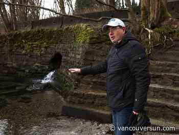 'We know how much we’ve lost': Atmospheric rivers are increasing pollution in B.C. waterways