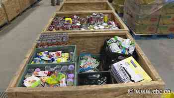 Saskatoon company's app helps food banks track inventory and reduce waste