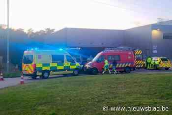 Arbeider (36) komt om het leven na graafwerken in Beerse: passant ontdekt dodelijk arbeidsongeval