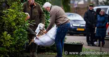 Aangetroffen wolf in ‘Knollendarp’ leidt al paar dagen later tot carnavalsvideo