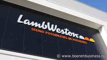 Contractprijs Lamb Weston plust voor lange bewaring