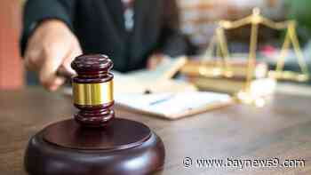 Woman accused of stealing houses in Hillsborough County pleads guilty