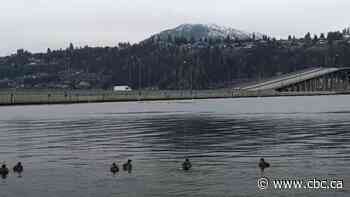 Kelowna bridge reopens after explosives team give all-clear to removal of suspicious van