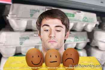 4 Ways To Make Eggs Last Longer + Keep From Going Bad