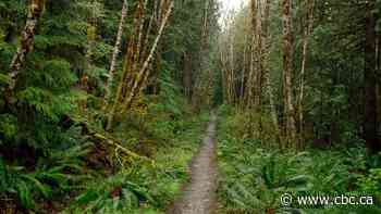Canada closes border between B.C.-U.S. crossing at Pacific Crest Trail