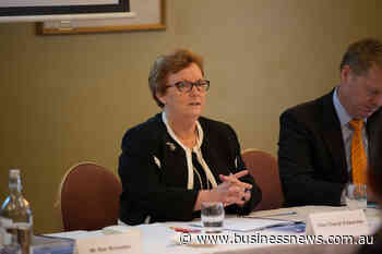 Fortescue lobs $254m bid for Red Hawk