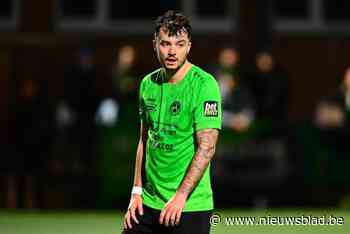 Mandel United gaat voluit voor titel en haalt Dennis Van Vaerenbergh weg bij Ninove