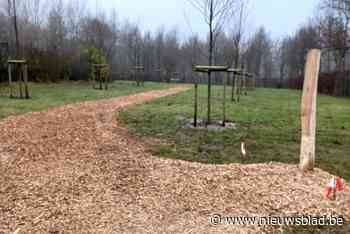 Nieuw urnenbos biedt sereen en groen alternatief voor traditionele begravingen