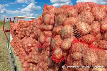 Seed suppliers urged to protect product after wet 2024 harvest