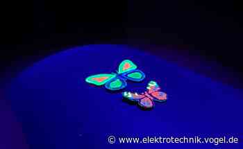 Schmetterlinge beflügeln Robotik