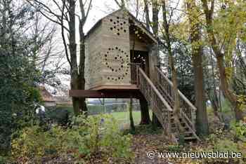 Afval, drank, uitwerpselen en zelfs slapende dakloze: stad grijpt in na herhaalde problemen in boomhut De Krekel
