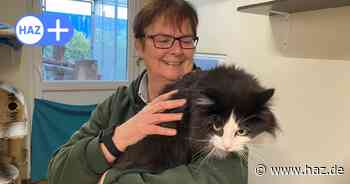 Tierheim Hannover in Langenhagen startet mit vielen Vermittlungen in 2025