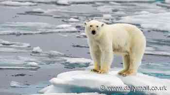 Ocean warming has more than QUADRUPLED over the past 40 years - and scientists say there's only one way to slow it down