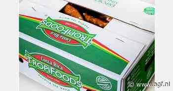 Regen zorgt voor trage cassave-oogst in Costa Rica