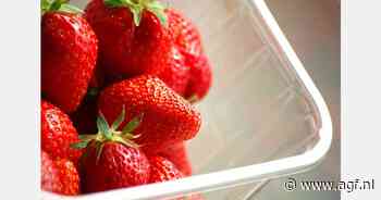 Kiloprijs aardbei richting 10 euro, prijsvorming kasgroenten moeizaam