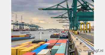 Ruim 8 procent stijging containeroverslag voor Haven van Antwerpen