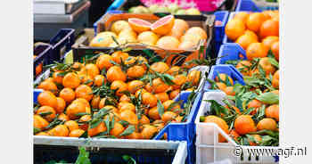 Nador Cott klaagt negen Britse retailers aan