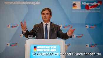 Asyl-Stopp: AfD will „Zustrombegrenzungsgesetz“ der Union zustimmen