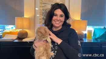 Sask. cat rescue looking for permanent building after recent intake flood