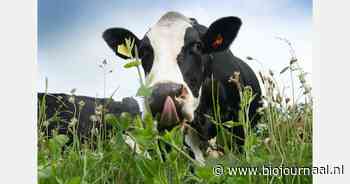 Bijeenkomst 1001ha Kruidenrijk Grasland: 4 februari op de Eemlandhoeve