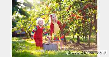 Omzet multifunctionele landbouw groeit naar 1,6 miljard euro