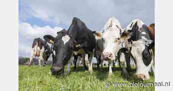 Laatste blokkades MKZ opgeheven na hertesten