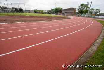 Torhout gaat gras op sportvelden met robotmaaiers te lijf: “Op termijn sparen we hiermee budget uit”