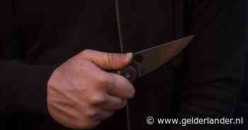 Tielenaar stak buurman neer en OM wil nu contact- en locatieverbod voor vijf jaar voor de dader