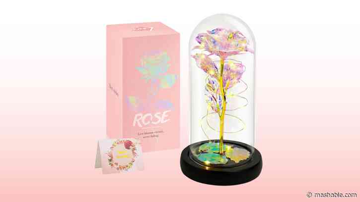 Enchant your Valentine with an everlasting rose for just $4.99