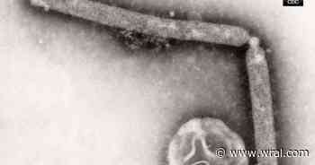 Bird flu discovered in Sampson County, second state case this year