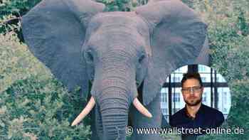 VorOrth – Die Meinungskolumne: Der rosa Elefant hat die Brandmauer durchbrochen