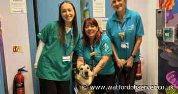 Watford General seeks new members for its 'paw patrol'