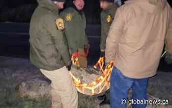 U.S. officials install rocks along B.C. border in what lawyer calls ‘sign of the times’