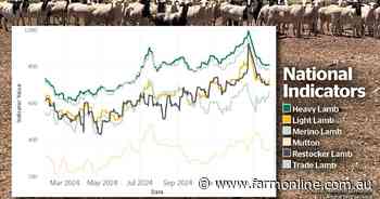 Lamb market, restocker demand steadyas world eyes US-China tariff tangle