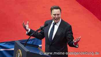 Tesla-CEO auf Abwegen: Elon Musk zerstört das Image seiner Firma