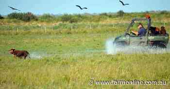 Water wealth powers this South-East farm's stellar production