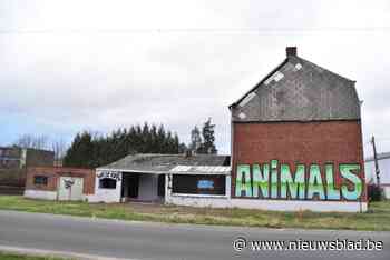 Typisch stedelijke Animals-graffiti op laatste overblijvende huis Zagerijstraat