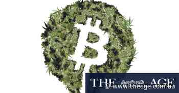 Rich lister’s medical marijuana dreams go up in smoke