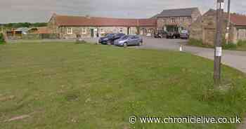 Northumberland Zoo to open on February 1 after being hit by Storm Éowyn