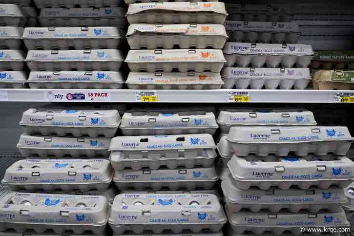 Bird flu has made eggs more expensive — does it also make them unsafe to eat?