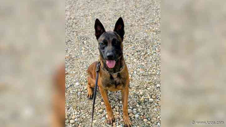 New Mexico State Police adds new member to bomb squad