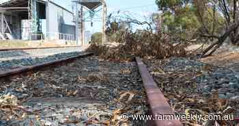 "Less talking, more action" approach wanted for WA's freight rail network
