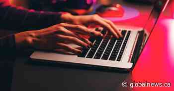 Newcomers to Canada targeted by online scams, study shows