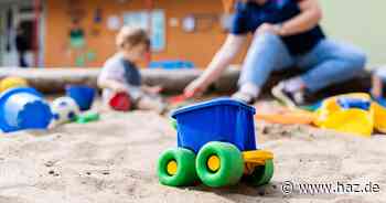 Bundestagswahl 2025: Die Ziele der grünen Direktkandidaten Peine und Steinke