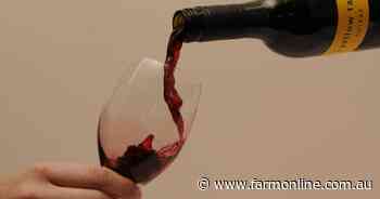 Cheers to China again: Aussie wine exports rebound despite global glut
