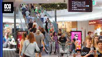 'Cut baby cut!' Chances of interest rate cut increase as inflation slows