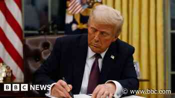 US judge temporarily blocks Trump's freeze on federal grants and loans