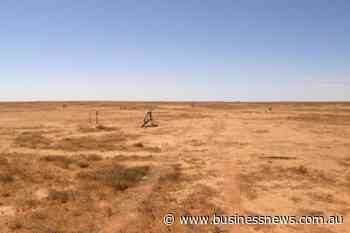 Boss on course for guidance at Honeymoon